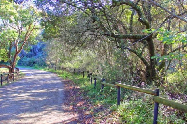 Alkantmooi Private Nature Reserve - Keursee Plettenberg Bay